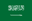 Saudi Arabia U20