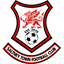 Saltney Town