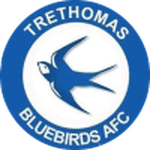Trethomas Bluebirds badge