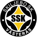 Skiljebo badge