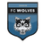 Jõgeva Wolves