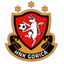 Gori