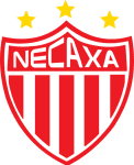 Necaxa W badge