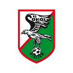 Sokół Kleczew badge