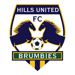 Hills Brumbies badge
