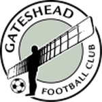 Gateshead badge