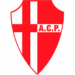Padova U19 badge