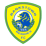 Canterbury Bankstown badge