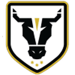 Bulls Academy badge