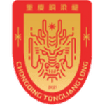 Chongqing Tongliang Long badge