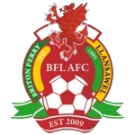 Briton Ferry badge