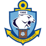 Antofagasta badge