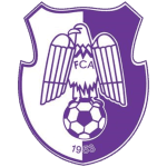 Arges Pitesti badge