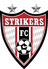 Strykers W