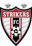Strykers W