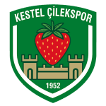 Kestel Çilek badge
