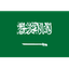 Team Saudi Arabia