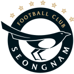 Seongnam FC badge