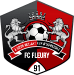 Fleury 91 badge