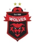 Wollongong Wolves badge