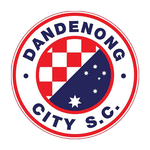 Dandenong City badge