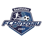 Pinzgau Saalfelden badge