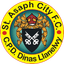 St Asaph City