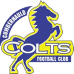 Cumbernauld Colts badge
