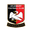 Aylesbury Vale Dynamos